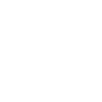 logo Fantic