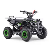 quad-pocket-kerox-rock-49cc-bw6-vert